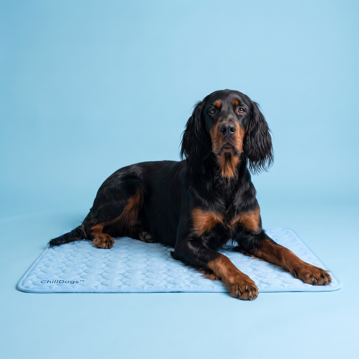 ChillDogs™ Cooling Mat